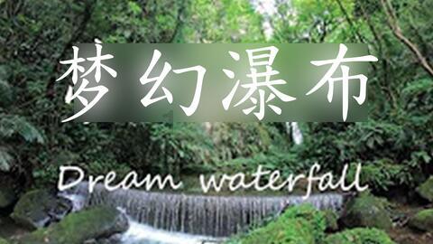 这菜50元一斤,健脾胃补气血,如果条件允许每个月给家人吃上一次