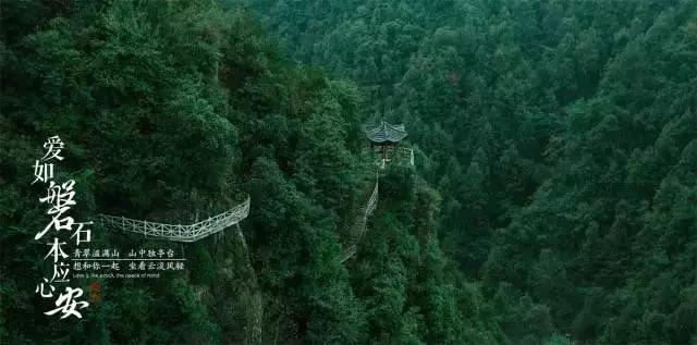 拯救卡通獾