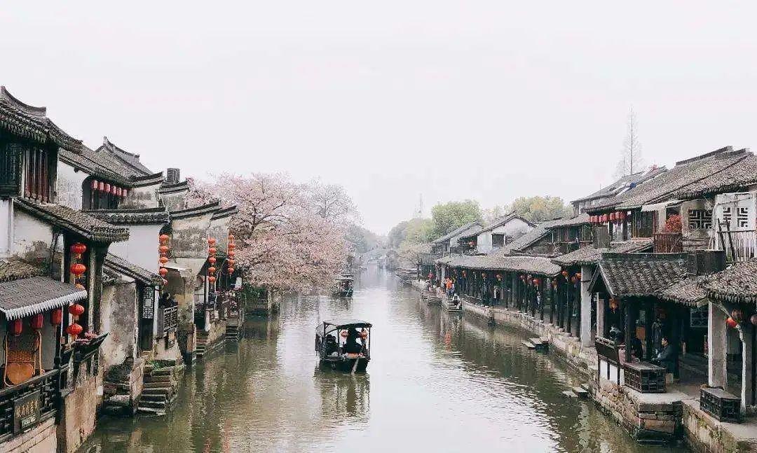 可爱啄木鸟逃脱